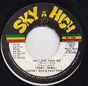 【中古】ジャマイカ7” Tony Rebel / Garnett Silk & Ha Jah Love Inna We NONE Sky High /00080