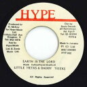 【中古】ジャマイカ7” Little Meeky & Daddy Meeky Earth Is The Lord HYP002 Hype /00080