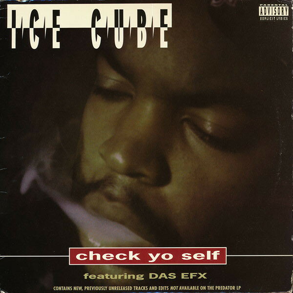 LP Ice Cube Check Yo Self PVL53830 Priority Records /00250