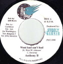 【中古】ジャマイカ7” Anthony B / Natty King Want Lead Cant Lead / Badness Hype NONE Studi...