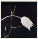 【中古】CD ギドン・クレーメル, ミルバ, カ ピアソラへのオマージュ(2) WPCS5080 /00130