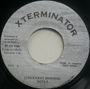 【中古】ジャマイカ7” Sizzla Judgement Morning NONE XTerminator /00080