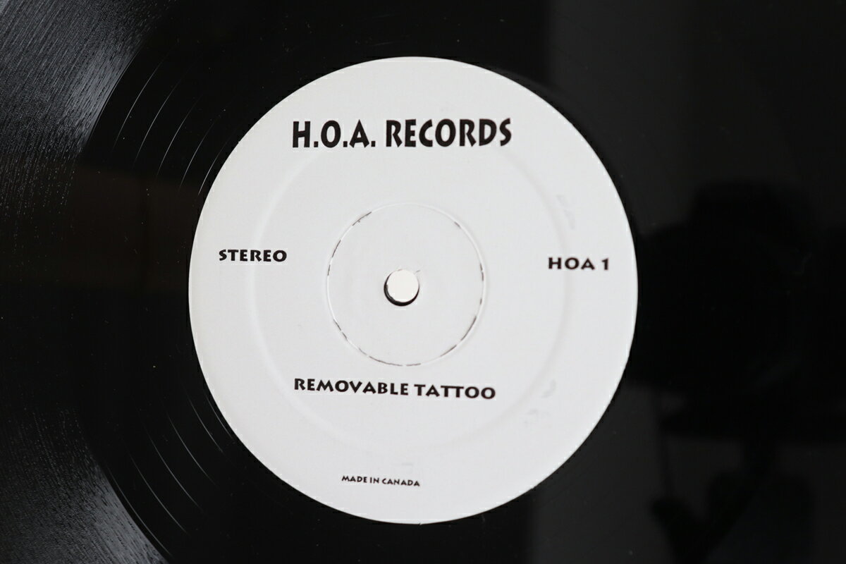 【輸入盤LPレコード】【新品】Hedvig Mollestad Trio / Ding Dong You're Dead【LP2021/4/23発売】
