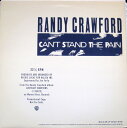 【中古】米12” Randy Crawford Cant Stand The Pain PROA2501 Warner Bros. Records /00250