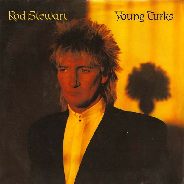 【中古】米7” Rod Stewart Young Turks WBS49843 Warner Bros. Records /00080