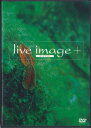 【中古】DVD Live Image+ SIBC40 SONY MUSIC プロモ /00110