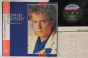 【中古】LP David Cassidy Romance 25RS252 ARISTA /00260