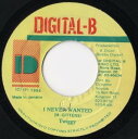 【中古】ジャマイカ7” Twiggy I Never Wanted NONE Digital-B /00080