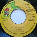 【中古】ジャマイカ7” Terry Ganzie Rise With The Fire NONE Flames /00080