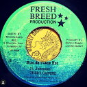 【中古】ジャマイカ7” Terry Ganzie Run De Place Hot NONE Fresh Breed Producti /00080