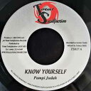 【中古】ジャマイカ7” Pampi Judah / Natural Black Know Yourself / Nuh Go So TS017 Total Sa...