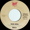【中古】米7” Brick Wide Open / Seaside Vibes ZS502599 Bang Records /00080