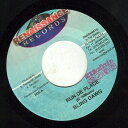 【中古】ジャマイカ7” Bling Dawg / Tami Chynn Run De Place / Hyper Ventilating STEPS0018 R...