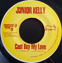 【中古】ジャマイカ7” Junior Kelly Cant Buy My Love NONE Minor 7 Flat 5 /00080