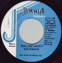 【中古】ジャマイカ7” Billy Diamond Nice And Lovely NONE Jammys Records /00080