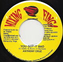 【中古】ジャマイカ7” Anthony Cruz You Got It Bad none Mixing Finga Muzic /00080