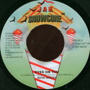 【中古】ジャマイカ7” Wayne Wonder / Turbulence Eyes On You / Need To Know NONE Jah Snowco...