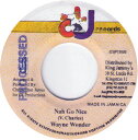 【中古】ジャマイカ7” Wayne Wonder Nah Go Nice NONE CJ Records /00080