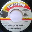 【中古】ジャマイカ7” Richie Stephens Dont Burn Your Bridges NONE Pot Of Gold /00080