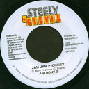 【中古】ジャマイカ7” Anthony B / Future Troubles Jah Jah Pickney / Wrong Hail NONE Steely & Clevie Reco /00080(2)