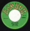【中古】英7” Jerry Jones / Brentford All St Still Waters / Wigwam BAM65 Bamboo /00050