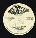 【中古】米12” Monyaka Questions Of Life Do You Know ? / Slavery none Hevyaka Records ...