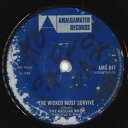 【中古】英7” Rinse (2) Untitled AA05 Acid Anonymous /00050