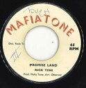 【中古】英7” Rockstones Promise Land none Mafiatone /00050