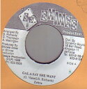【中古】ジャマイカ7” Zebra Gal A Say She Want NONE Shines Records /00080
