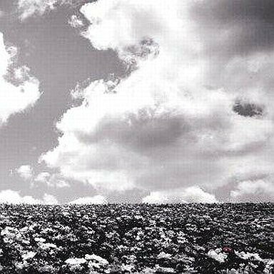 【中古】CD BUMP　OF　CHICKEN 花の名 TFCC89227 Toys Factory /00110