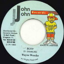 【中古】ジャマイカ7” Wayne Wonder Busy NONE John John Records /00080