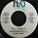 【中古】ジャマイカ7” Wayne Marshall & Bling Dawg Got It Going On NONE H2O Productions /00...