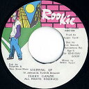 【中古】ジャマイカ7” Terry Ganzie Stepping Up ROO004 Rookie /00080