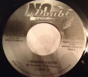 【中古】ジャマイカ7” Lukie D I Wanna Know NONE No Doubt Records /00080