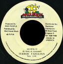 【中古】ジャマイカ7” Terror Fabulous Behold NONE Mad House /00080(2)
