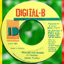 【中古】ジャマイカ7” Junior Tucker Praise His Name NONE Digital-B /00080(2)