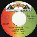 【中古】ジャマイカ7” Tristan Palmer Never Be Ungreatful I&I0030 I & I Foundation Rec /00050