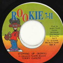 【中古】ジャマイカ7” Terry Ganzie Stepping Up (Remix) NONE Rookie 7-11 /00080