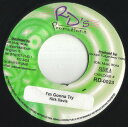 【中古】ジャマイカ7” Kirk Davis Im Gonna Try RD0023 RDs Promotions /00080