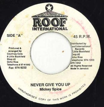 【中古】ジャマイカ7” Mikey Spice Never Give You Up none Roof International /00050