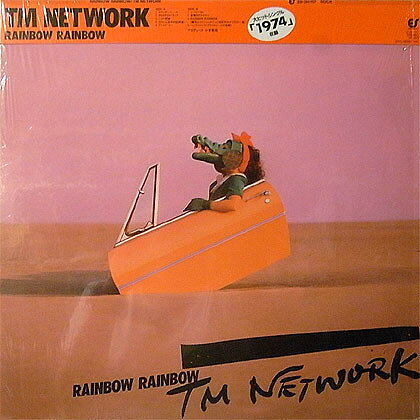 LP TM NETWORK Rainbow Rainbow 283H117 EPIC /00260