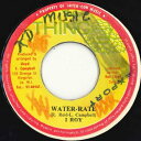 【中古】ジャマイカ7” I-Roy Water-Rate / Native Land none The Thing /00050