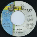 【中古】ジャマイカ7” Leroy Smart Mr. Right TRB817157 Jah Screw /00080