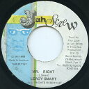 【中古】ジャマイカ7” Leroy Smart Mr. Right TRB817157 Jah Screw /00080