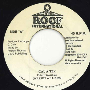 Other - 【中古】ジャマイカ7” Future Troubles Gal A Tek none Roof International /00050