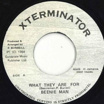 【中古】ジャマイカ7” Beenie Man What They Are For NONE XTerminator /00080