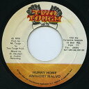 【中古】ジャマイカ7” Anthony Malvo Hurry Home none Two Tough /00050