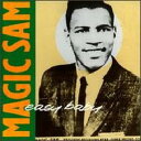 【中古】欧CD Magic Sam マジックサム Easy Baby CDCHARLY218 Charly R&B /00110