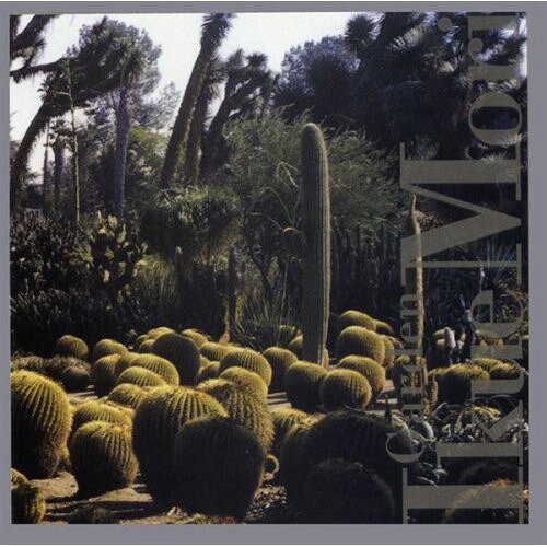 米CD Ikue Mori, David Newgarden; John Zorn Garden TZ7020 Tzadik /00110