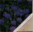 【中古】CD ミュージック・セラピー ガーデニング・サウンド・コレクション-「エーデルワイス」花ことばは・・・小さな幸せ COCQ83128 /00110